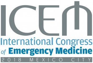 LOGO ICEM